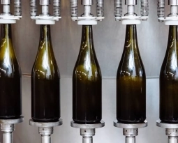 Case Study: RSM in Italy obtains funding and incentives for its distillery client