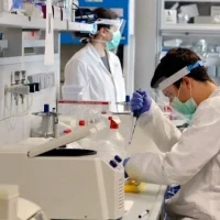 Career reform aims to improve security for Italian researchers