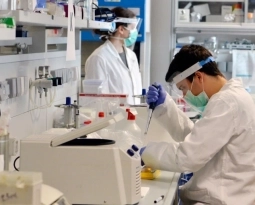 Career reform aims to improve security for Italian researchers