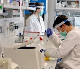 Career reform aims to improve security for Italian researchers